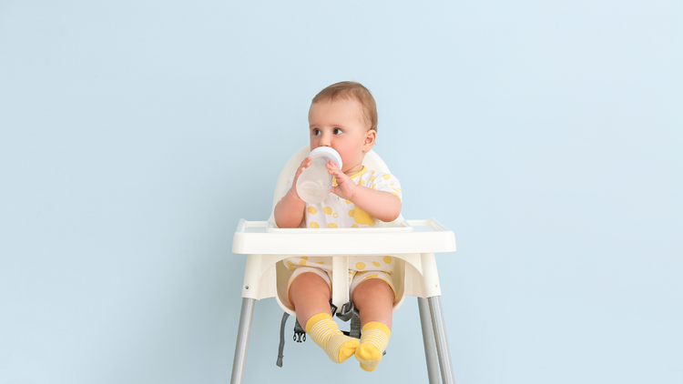 Chaises Hautes Bébé